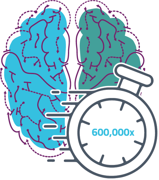 A graphic showing a stopwatch and brain